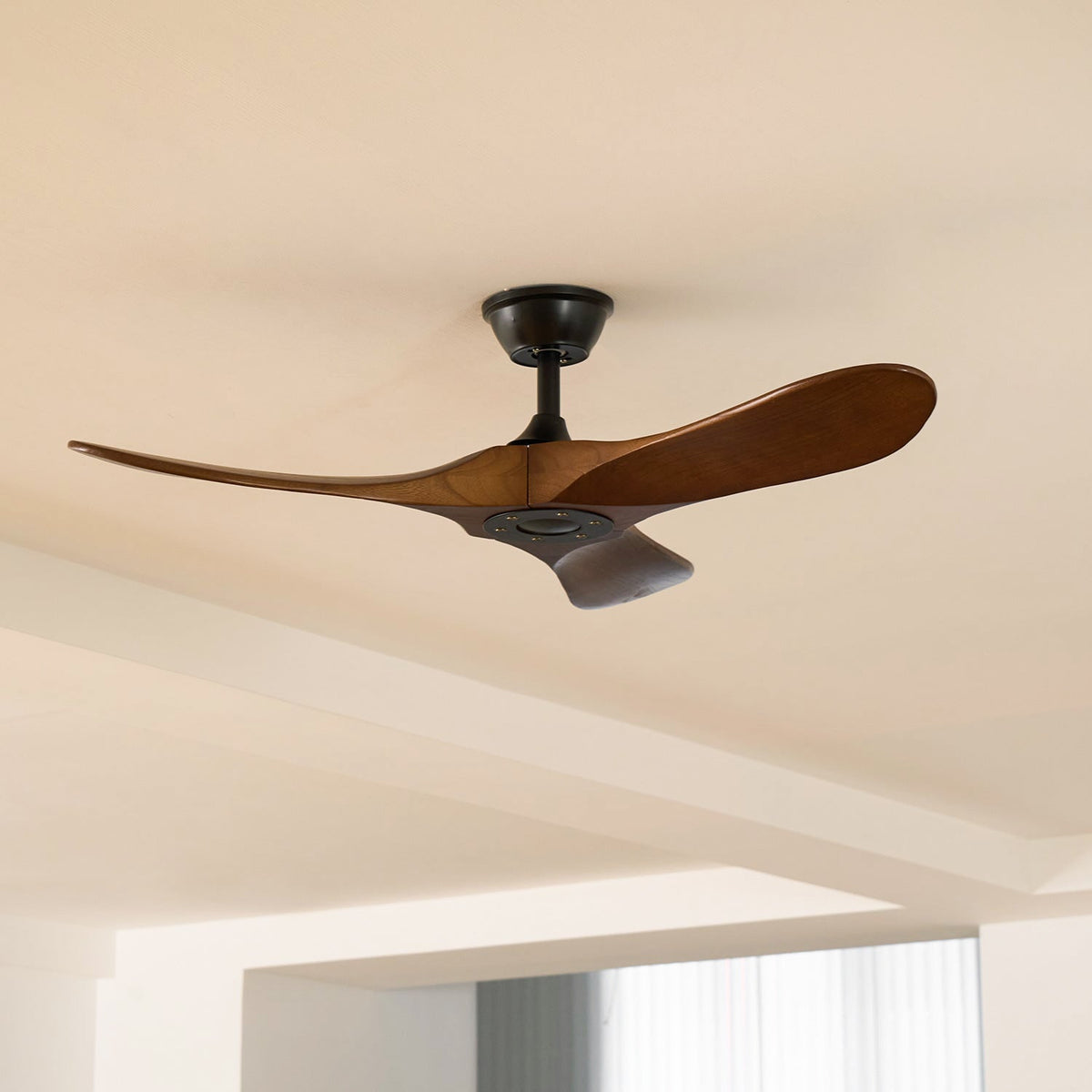 Ventilatore da soffitto Aero Breeze