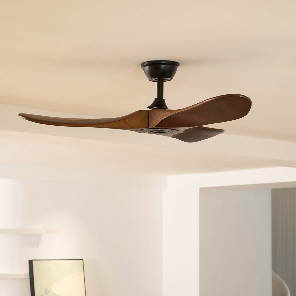 Ventilatore da soffitto Aero Breeze