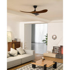 Ventilatore da soffitto Aero Breeze