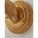 Applique da Parete in Cristallo con Corna