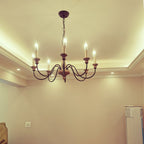 Candelabro Apalachicola