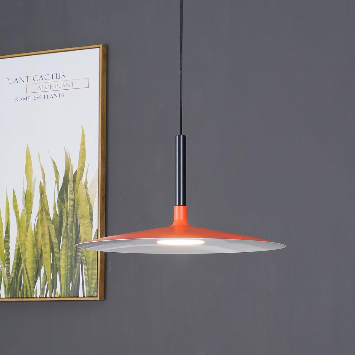 Larkin White Saucer Pendant Light