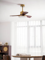 Aurevo Ventilatore da Soffitto con Luce
