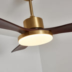 Aurevo Ventilatore da Soffitto con Luce