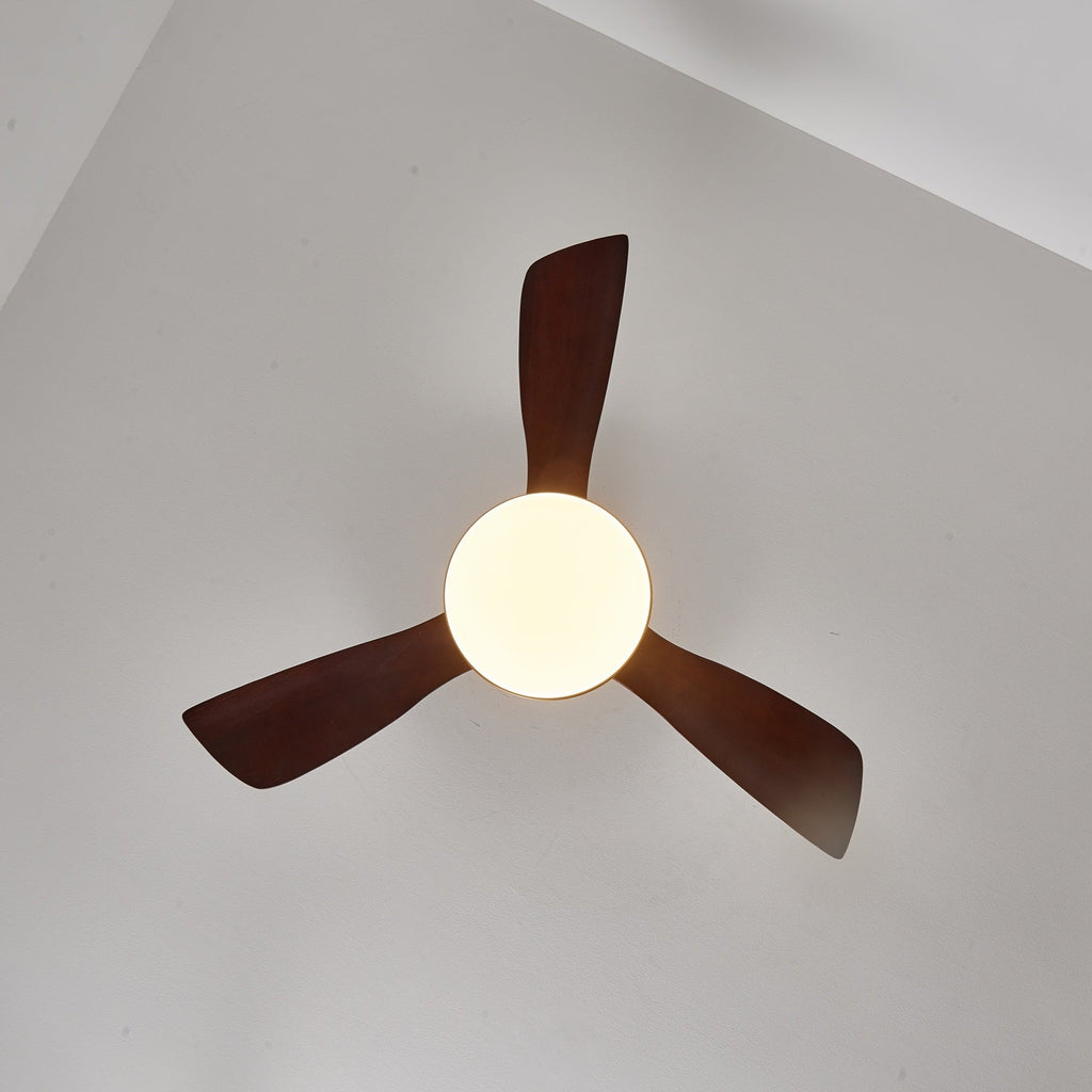 Aurevo Ventilatore da Soffitto con Luce