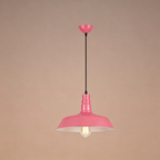 Lampadario Pendente Industriale Contemporaneo in Ferro a 1 Luce per Soggiorno