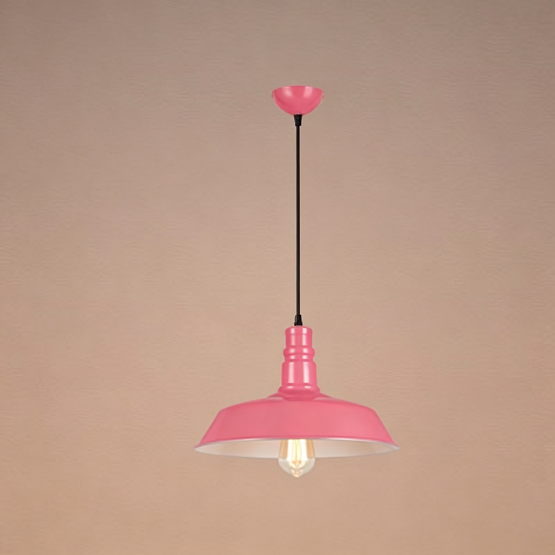 Lampadario Pendente Industriale Contemporaneo in Ferro a 1 Luce per Soggiorno