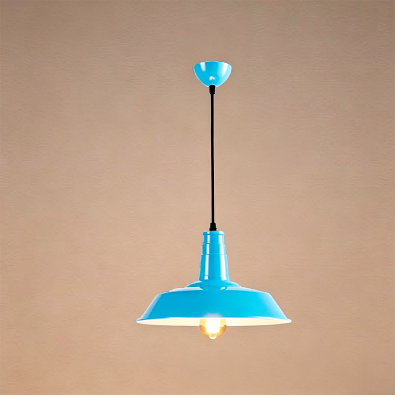 Lampadario Pendente Industriale Contemporaneo in Ferro a 1 Luce per Soggiorno