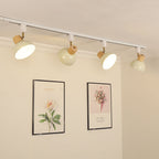 Ciotola Rotonda in Ferro e Legno Nordico Contemporaneo Regolabile 1/2/3/4/5 Illuminazione a Binario Semi-Sospesa per Sala da Pranzo