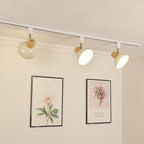 Ciotola Rotonda in Ferro e Legno Nordico Contemporaneo Regolabile 1/2/3/4/5 Illuminazione a Binario Semi-Sospesa per Sala da Pranzo