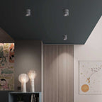 Faretto Rotante Rotondo in Alluminio LED Scandinavo Contemporaneo da Soffitto Semi-Incastrato per Soggiorno