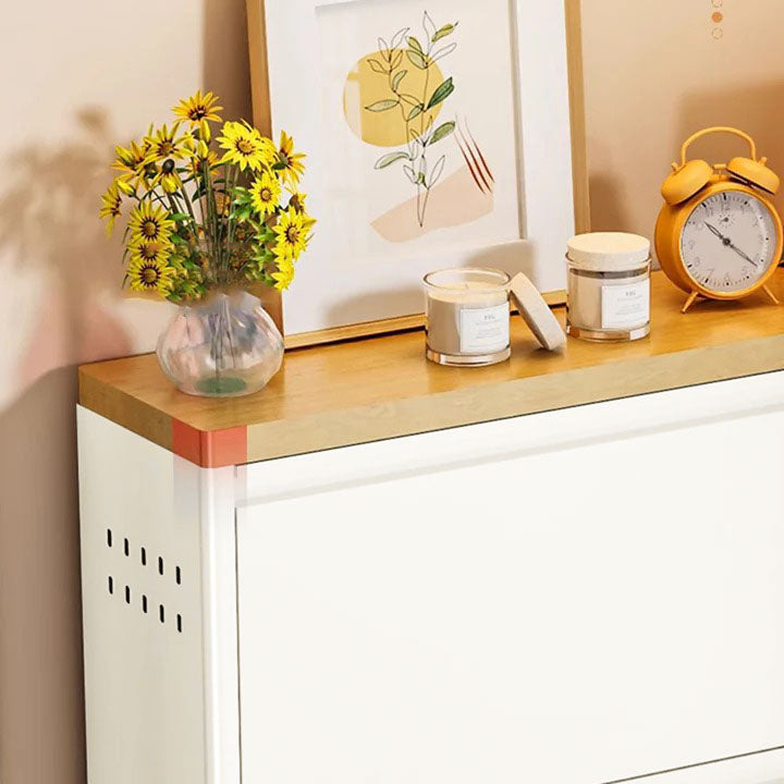 Armadio per Scarpe Slim Rectangolare in Acciaio Minimalista Moderno con Cassetti a Ribalta 3/4 Livelli per Ingresso