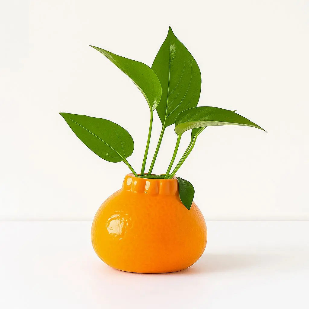 Vaso Cobb Citrus Burst