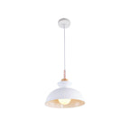 Moderna Lampada a Sospensione a Cupola per Cucina