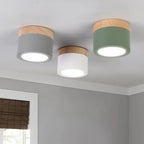 Lampada da soffitto LED cilindrica semplice nordica