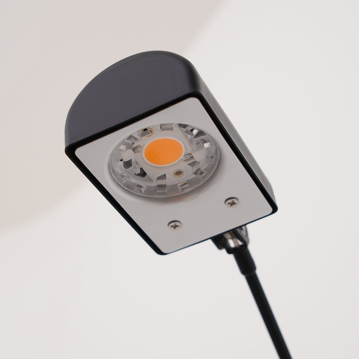 Lampada da Terra Daphine