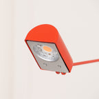 Lampada da Tavolo Daphine