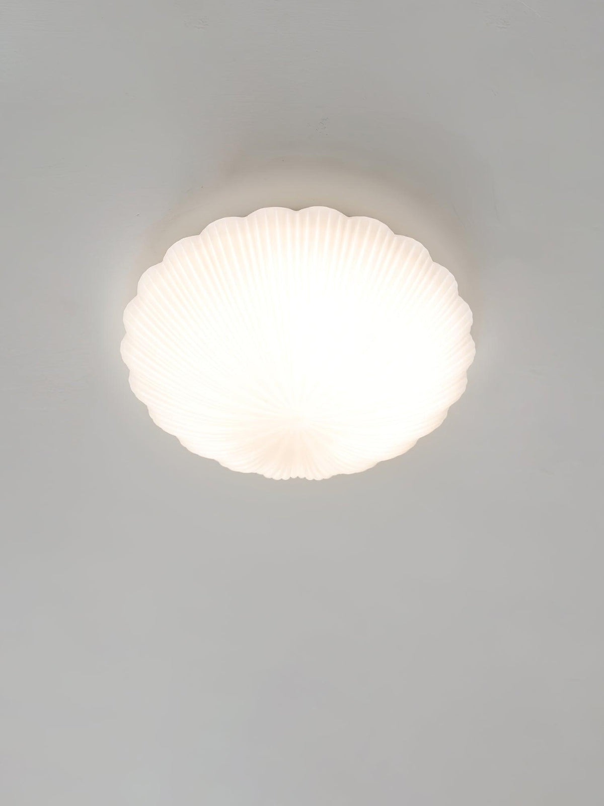 Lampada da soffitto Devan Seashell