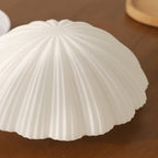 Lampada da soffitto Devan Seashell