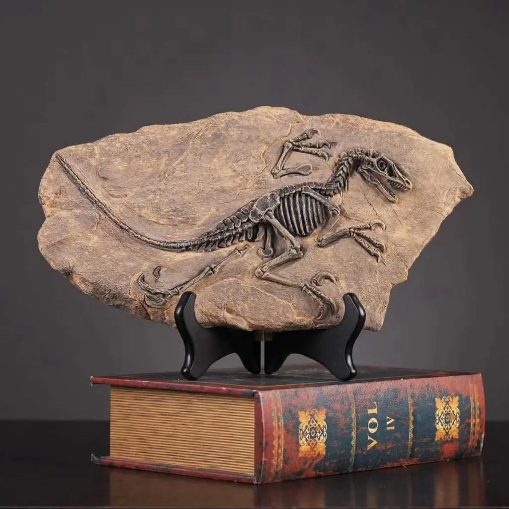 Scheletro di Dinosauro in Pietra - Serie Arte Fossile