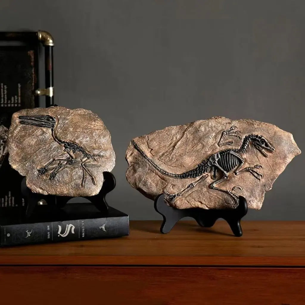 Scheletro di Dinosauro in Pietra - Serie Arte Fossile