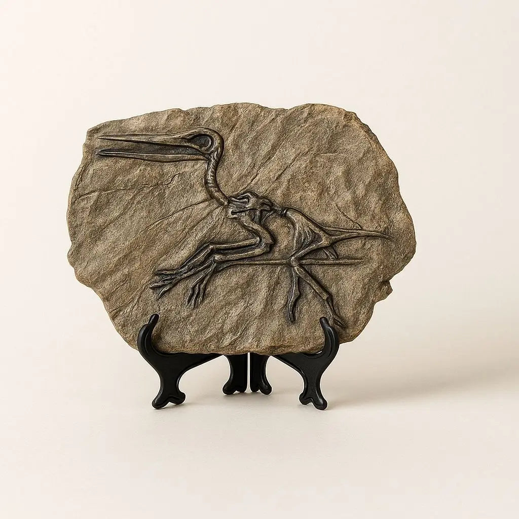 Scheletro di Dinosauro in Pietra - Serie Arte Fossile