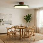 Elara Haus Drift Retro Flush Mount – Luce da soffitto smaltata in Salvia e Terracotta
