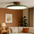 Elara Haus Drift Retro Flush Mount – Luce da soffitto smaltata in Salvia e Terracotta