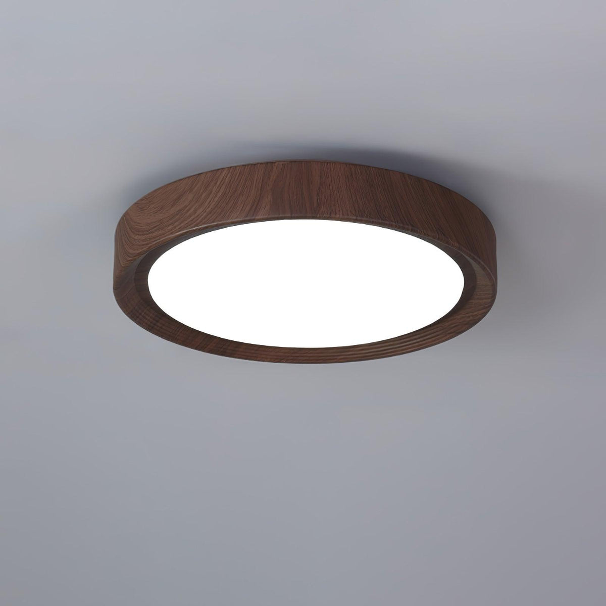 Elara Haus Lampada da Soffitto a Incasso - Lampada da Soffitto LED Dimmerabile in Metallo e Acrilico