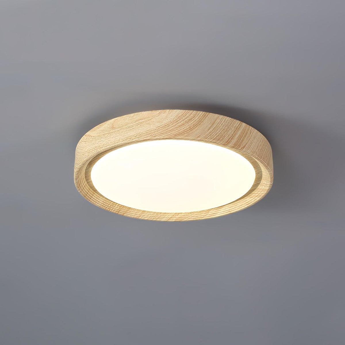Elara Haus Lampada da Soffitto a Incasso - Lampada da Soffitto LED Dimmerabile in Metallo e Acrilico