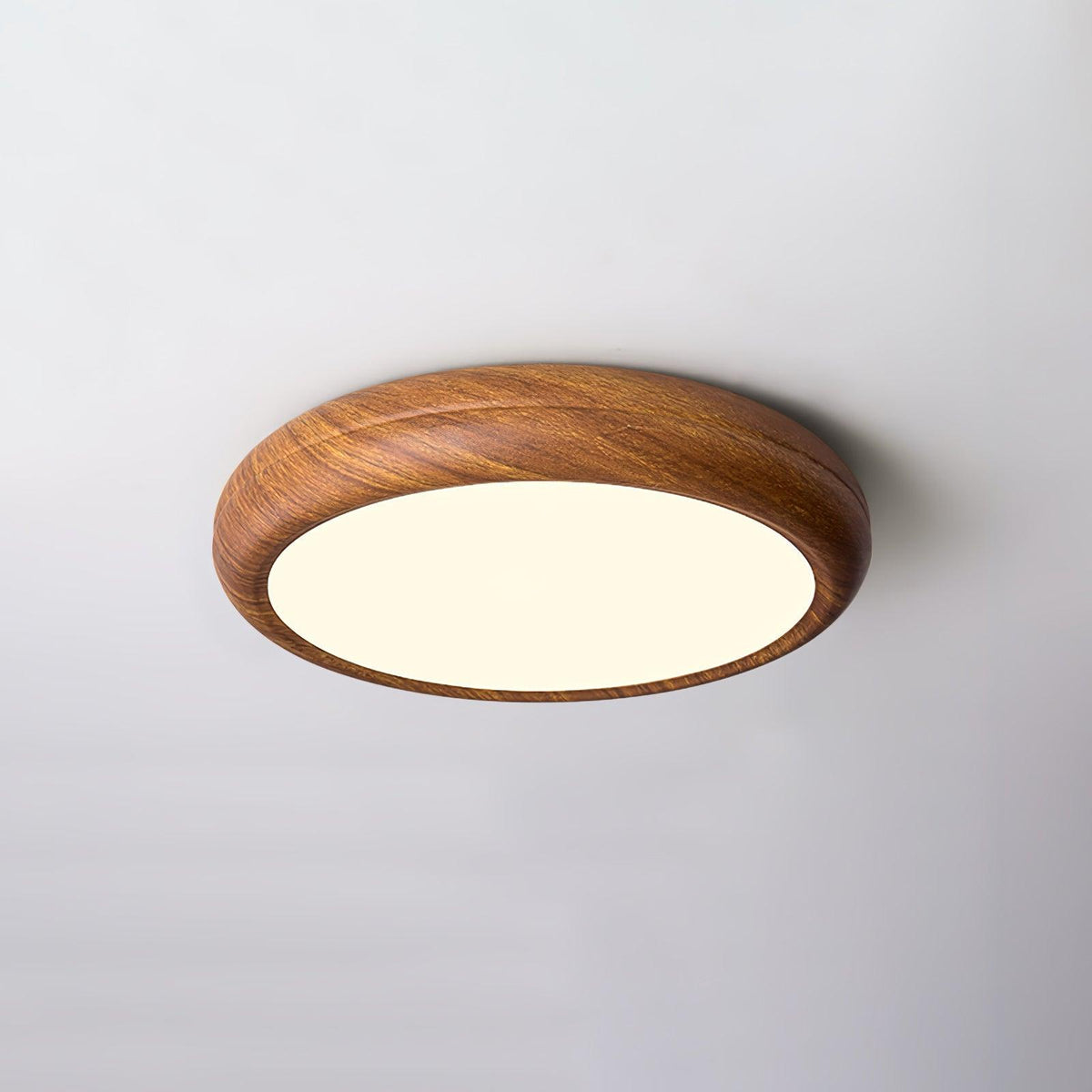 Elara Haus Lampada da Soffitto a Incasso - Lampada da Soffitto LED Dimmerabile in Metallo e Acrilico