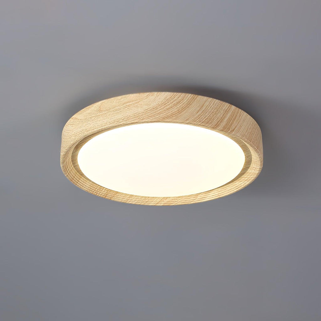 Elara Haus Lampada da Soffitto a Incasso - Lampada da Soffitto LED Dimmerabile in Metallo e Acrilico