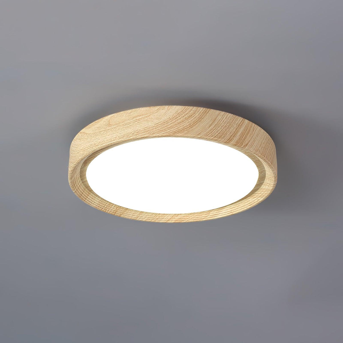Elara Haus Lampada da Soffitto a Incasso - Lampada da Soffitto LED Dimmerabile in Metallo e Acrilico
