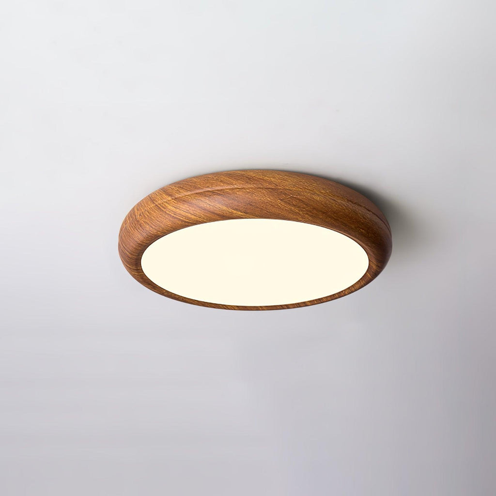 Elara Haus Lampada da Soffitto a Incasso - Lampada da Soffitto LED Dimmerabile in Metallo e Acrilico