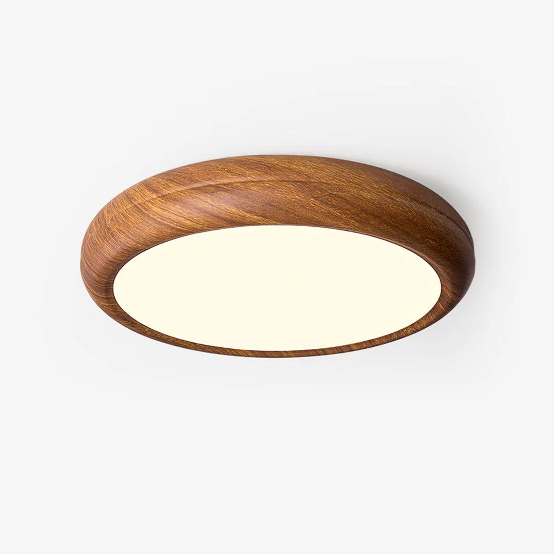 Elara Haus Lampada da Soffitto a Incasso - Lampada da Soffitto LED Dimmerabile in Metallo e Acrilico