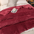 Elara Haus Coperta in Pile Striata di Lusso