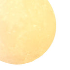 Elara Haus Lampada a Sospensione con Globo di Resina Animale a Forma di Luna