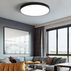 Elara Haus Lampada da Soffitto Rotonda Sleek - Disco LED Moderno