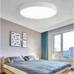 Elara Haus Lampada da Soffitto Rotonda Sleek - Disco LED Moderno