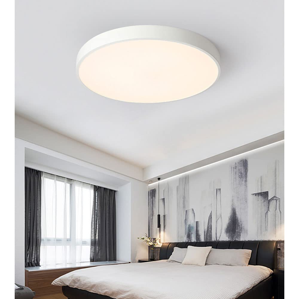 Elara Haus Lampada da Soffitto Rotonda Sleek - Disco LED Moderno