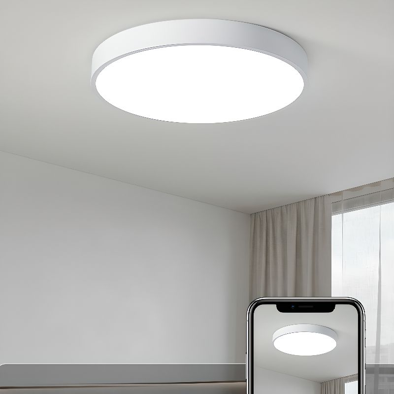 Elara Haus Lampada da Soffitto Rotonda Sleek - Disco LED Moderno