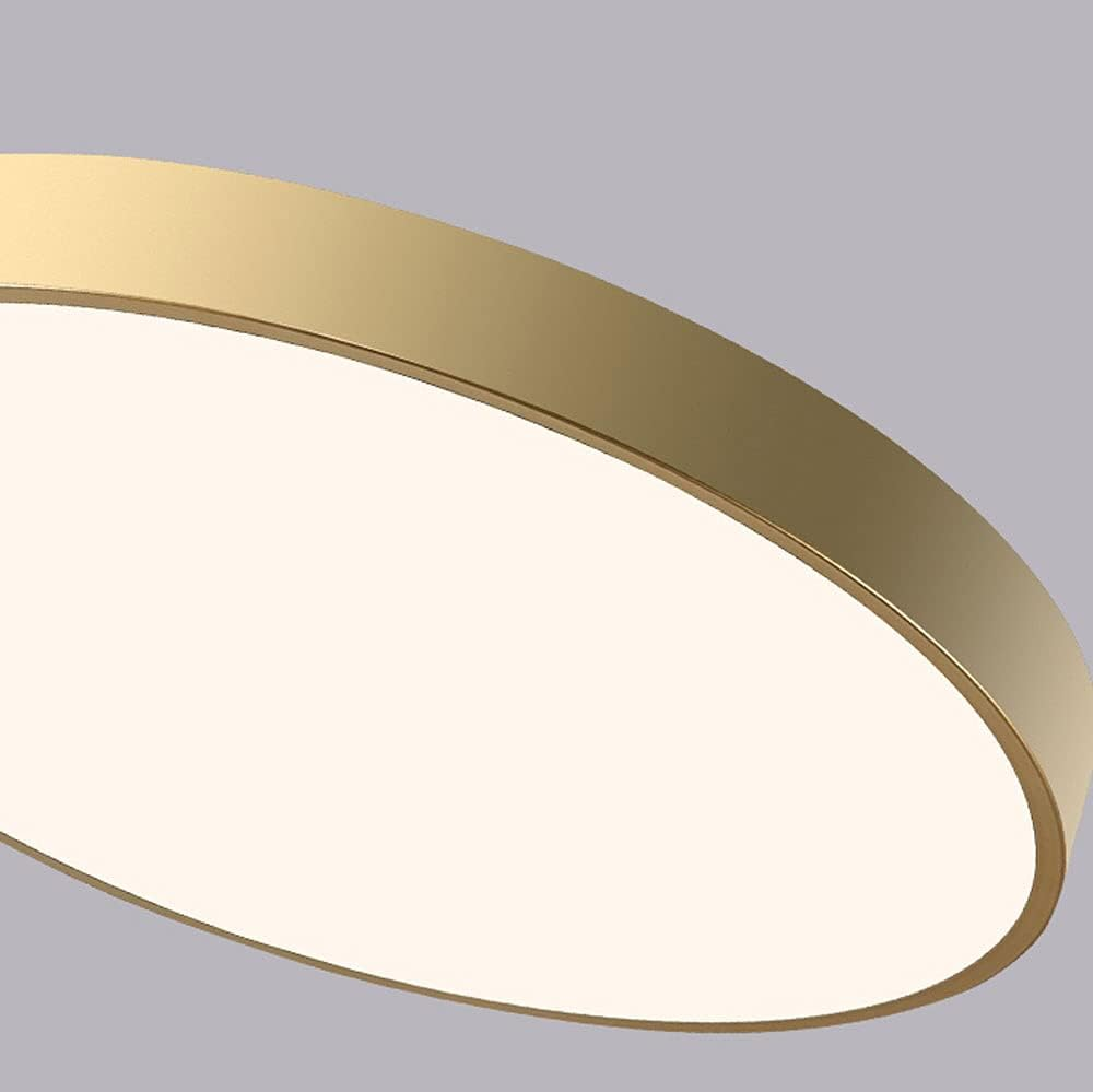 Elara Haus Lampada da Soffitto Rotonda Sleek - Disco LED Moderno