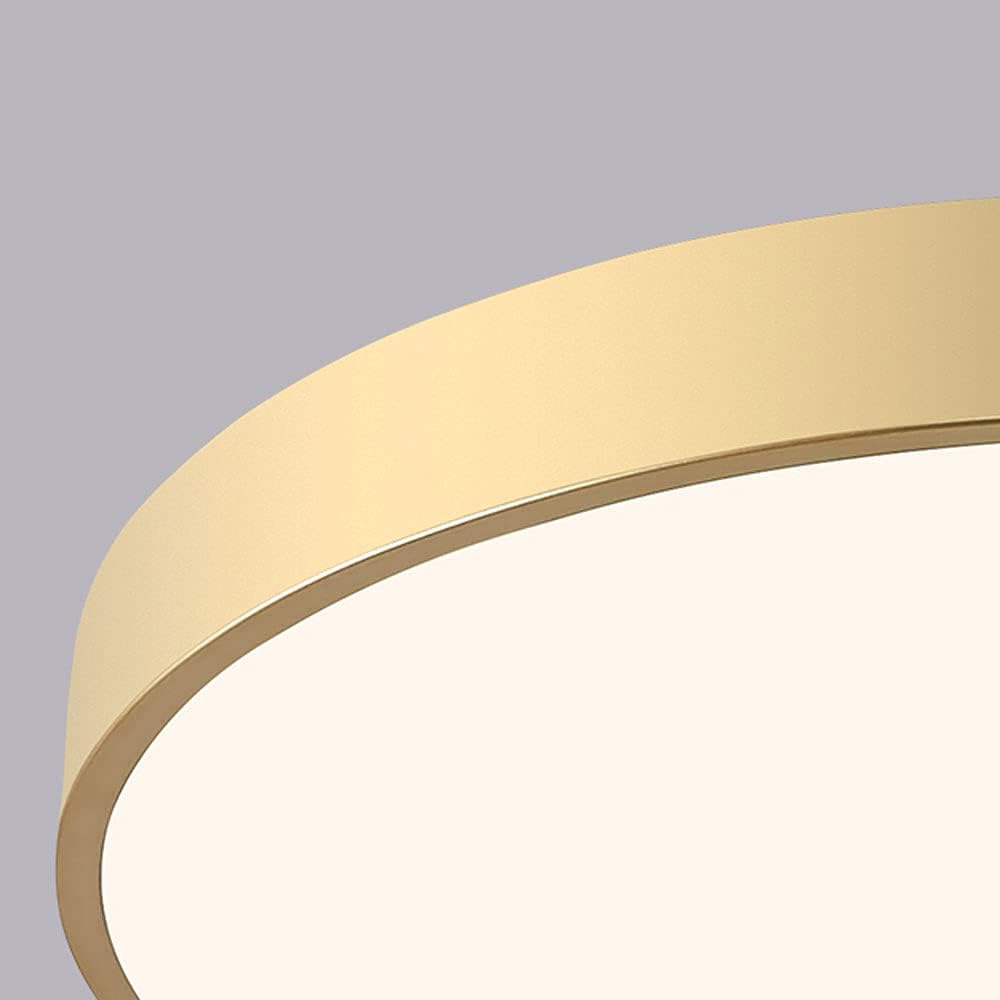 Elara Haus Lampada da Soffitto Rotonda Sleek - Disco LED Moderno