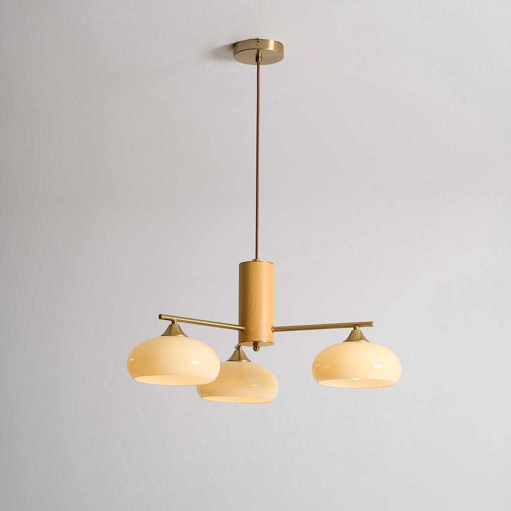 Lampadario Ellittico Nova in Persimone
