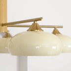 Lampadario Ellittico Nova in Persimone