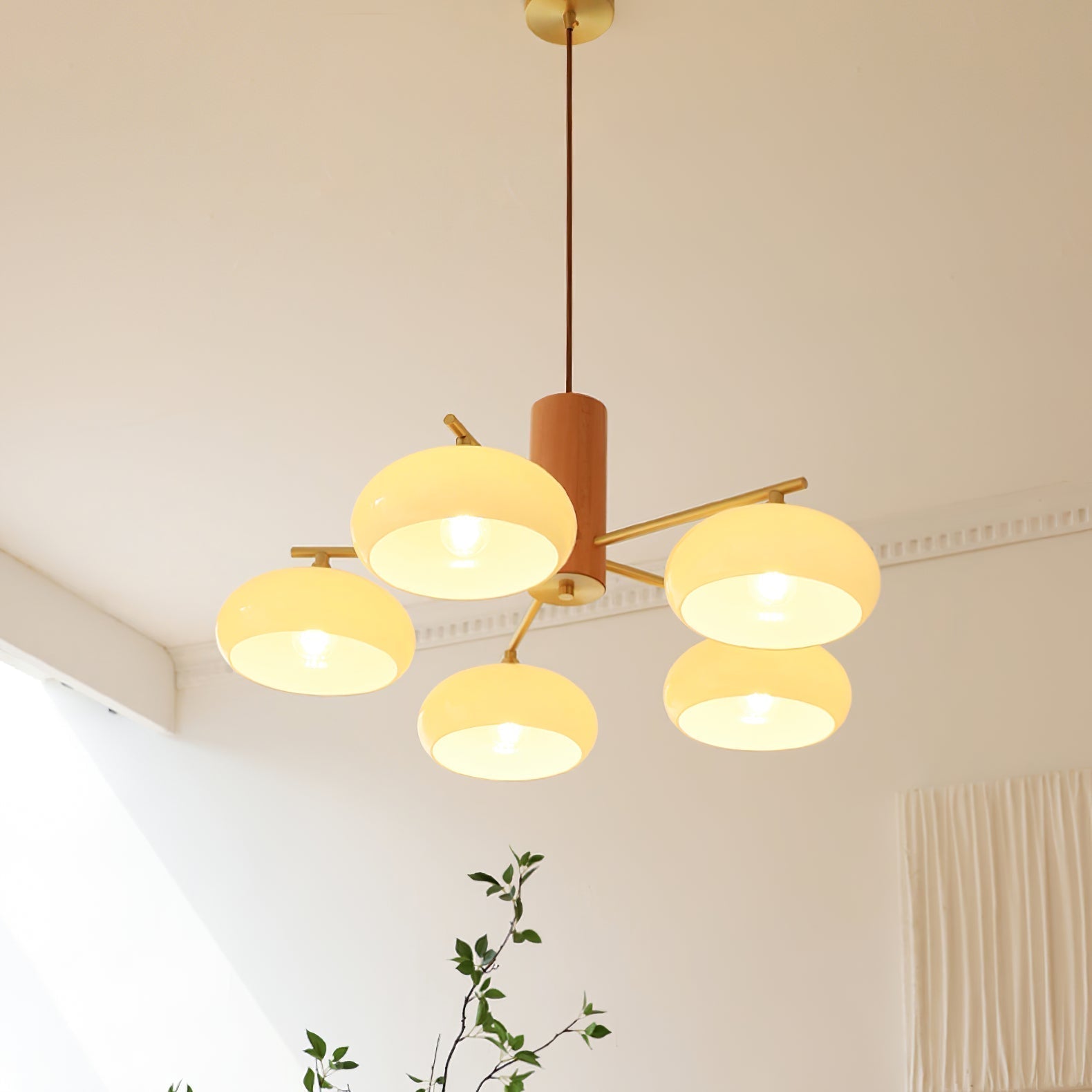 Lampadario in Vetro di Cachi Nova Natural