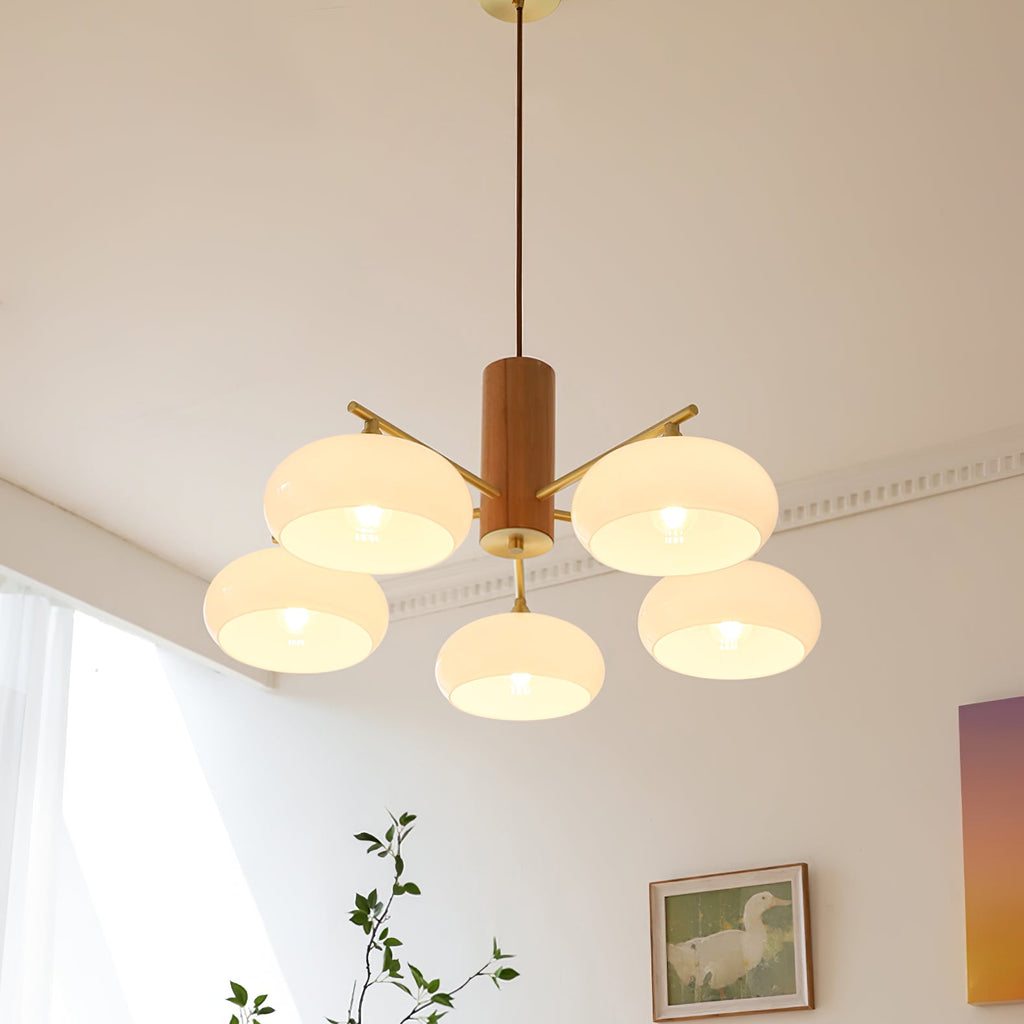 Lampadario Ellittico Nova in Persimone