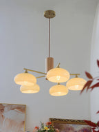 Lampadario in Vetro di Cachi Nova Natural