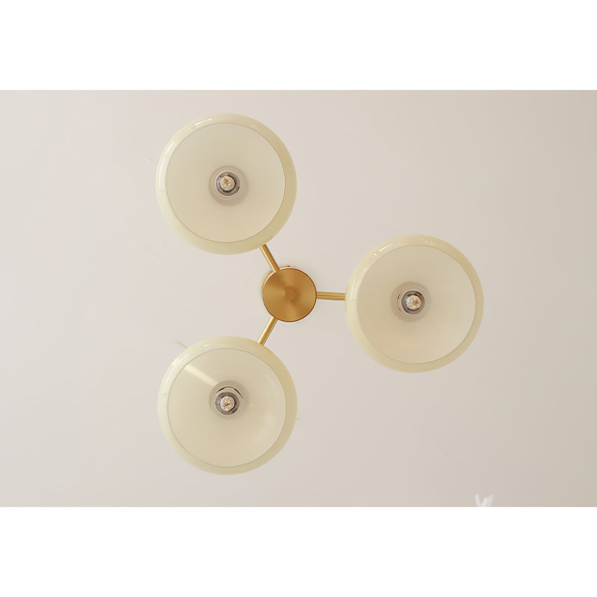 Lampadario Ellittico Nova in Persimone