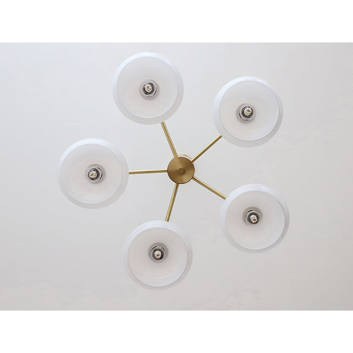 Lampadario Ellittico Nova in Persimone